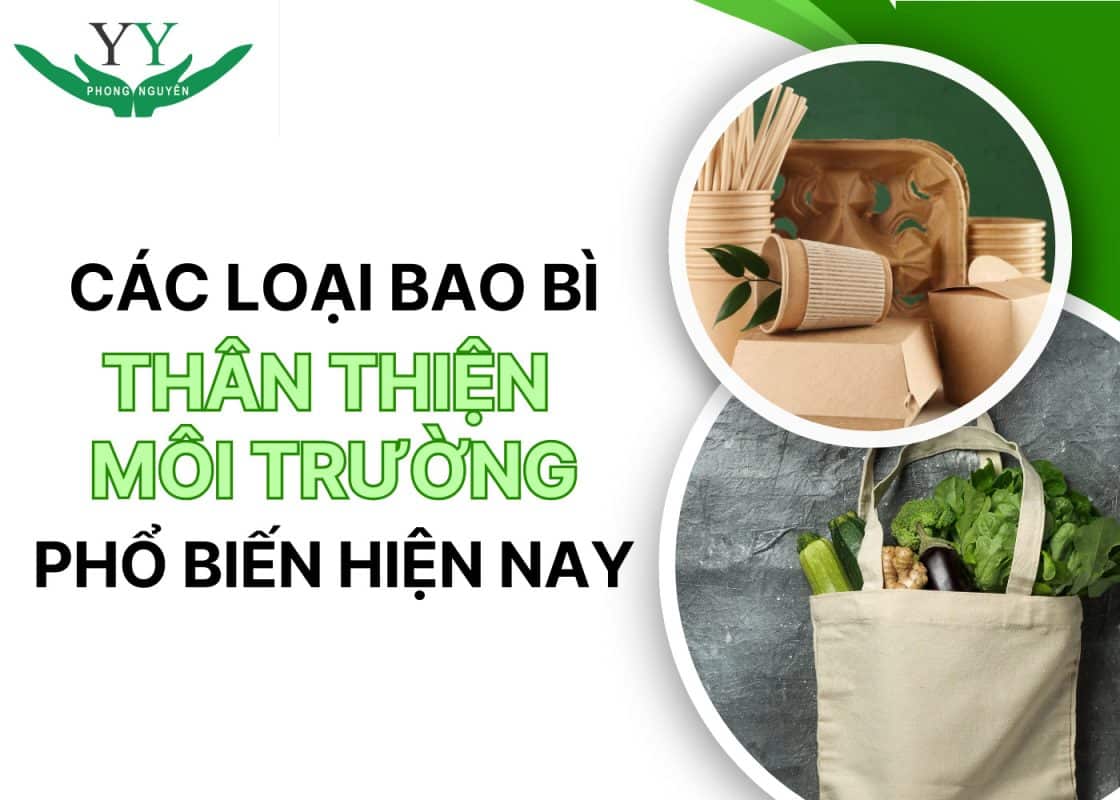 bao bì thân thiện môi trường là gì