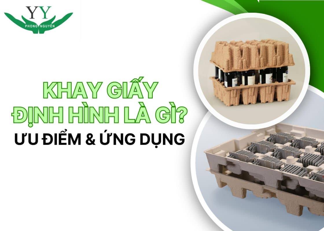 khay giấy định hình là gì