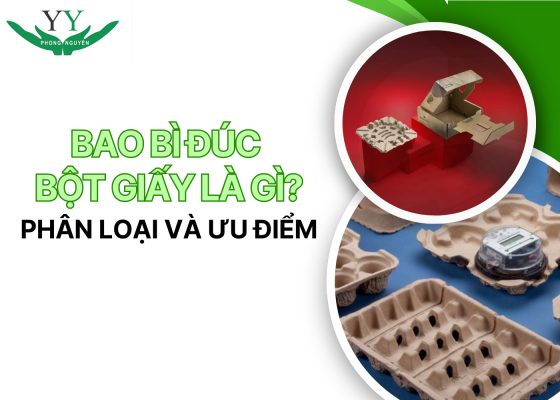 Đúc Bột Giấy Là Gì