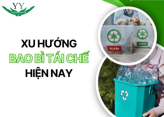 bao bì tái chế