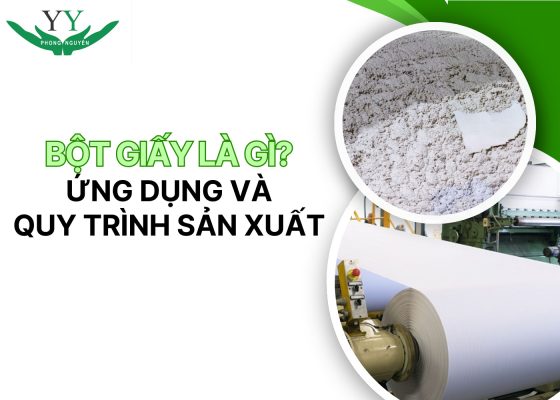 bột giấy là gì