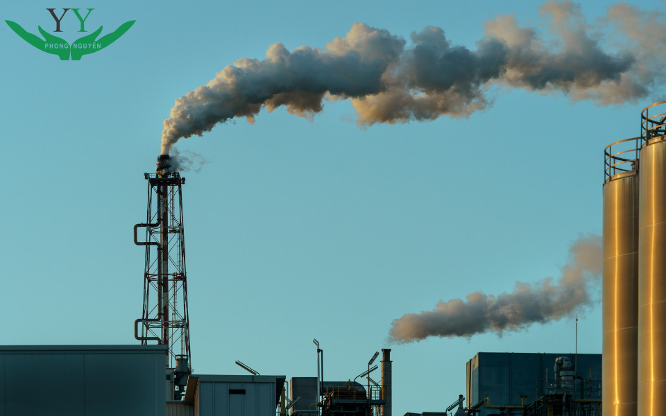 các loại bao bì tái chế