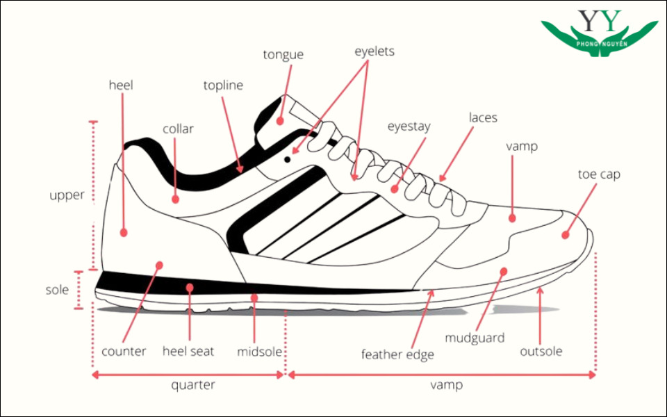 cấu tạo giày thể thao