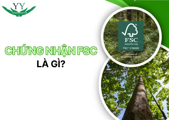 chứng nhận fsc là gì