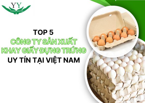 công ty sản xuất khay giấy đựng trứng