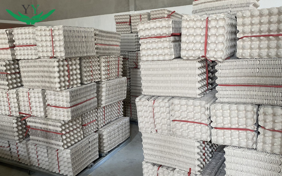 công ty sản xuất khay giấy đựng trứng vân nam