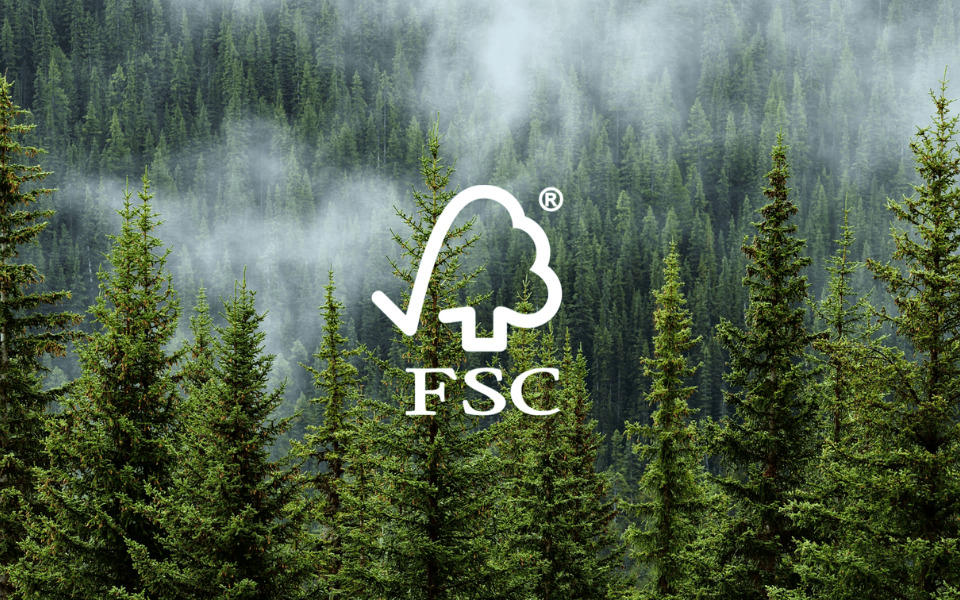 giấy chứng nhận fsc là gì