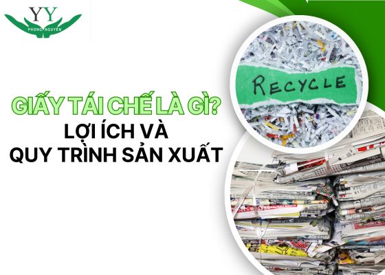 giấy tái chế là gì
