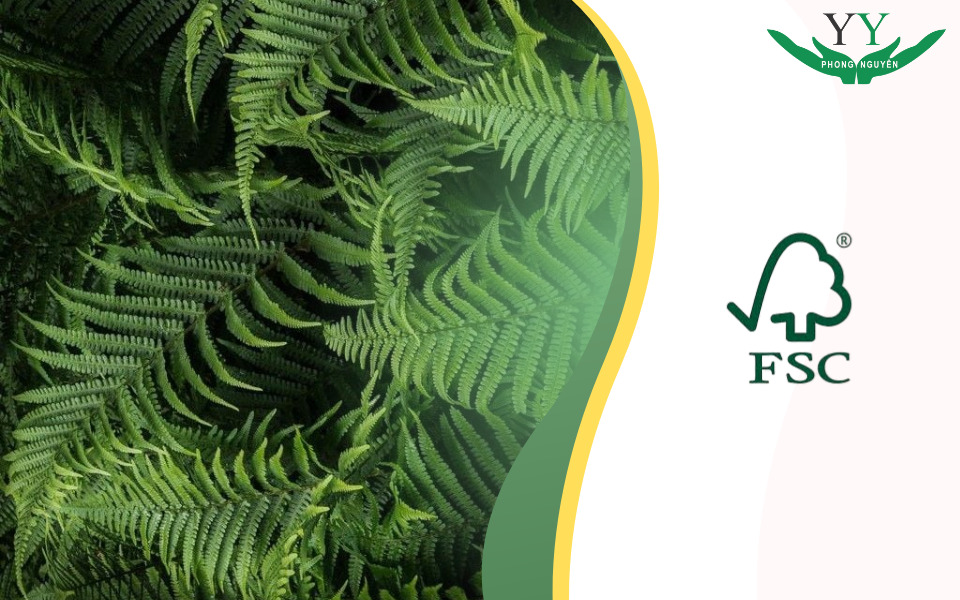 mục đích chứng nhận fsc