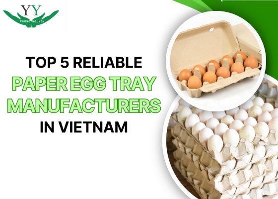paper egg tray manufacturers