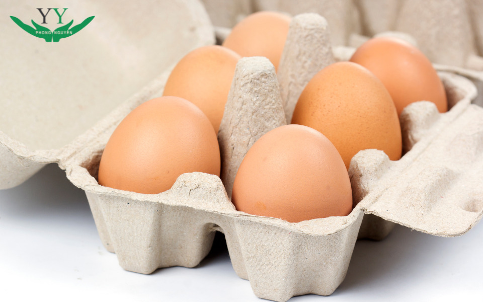 paper egg tray suppliers