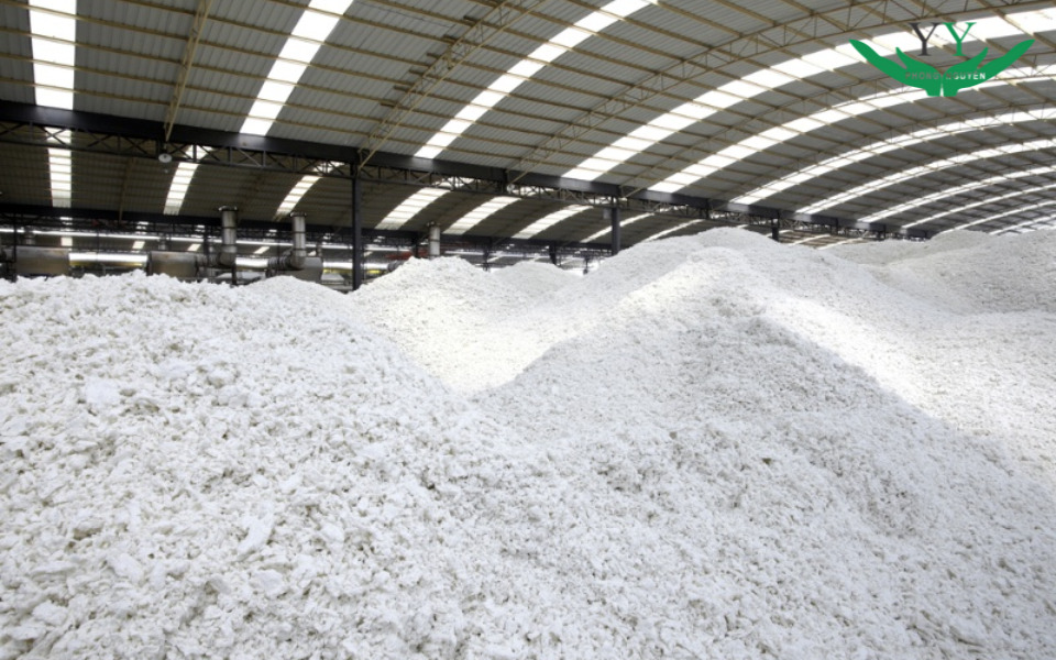 paper pulp
