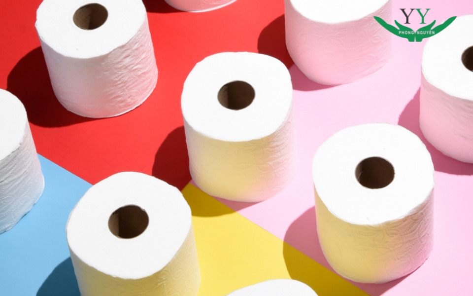 ứng dụng của bột giấy là gì