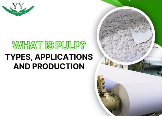 what is paper pulp