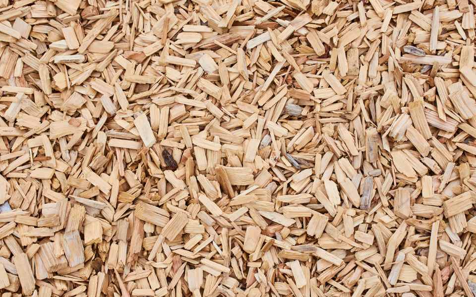 wood pulp