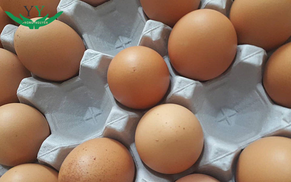 Two Types of Paper Egg Trays