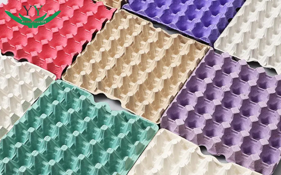 Egg Tray Made from Paper Material