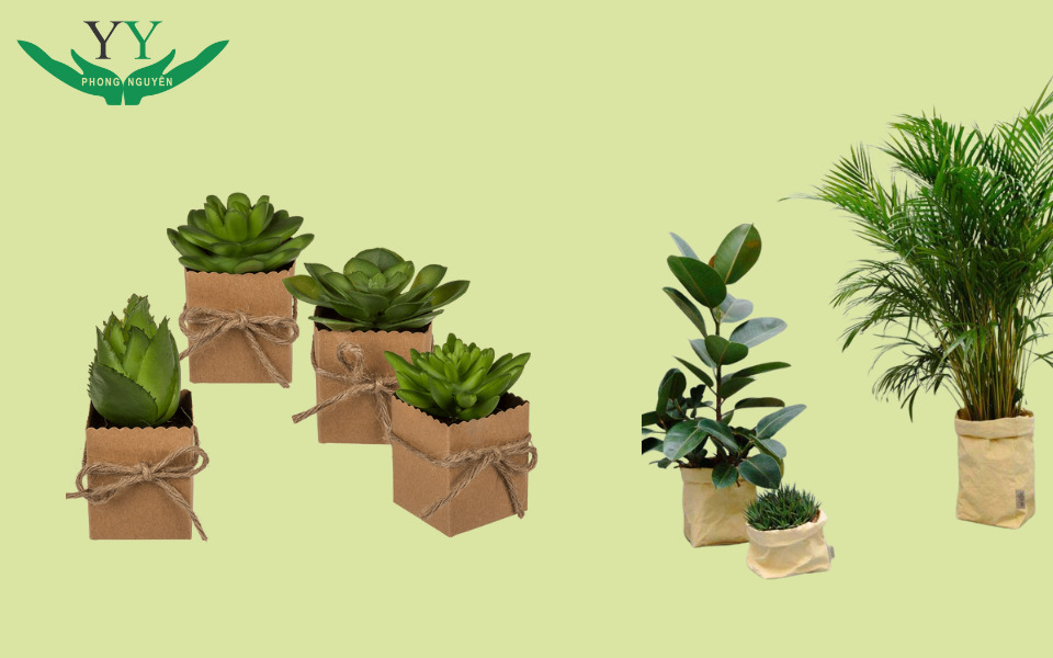 Paper Packaging in Agriculture