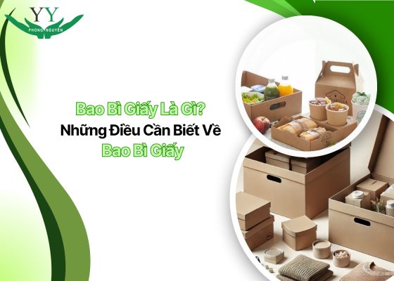 Bao Bì Giấy