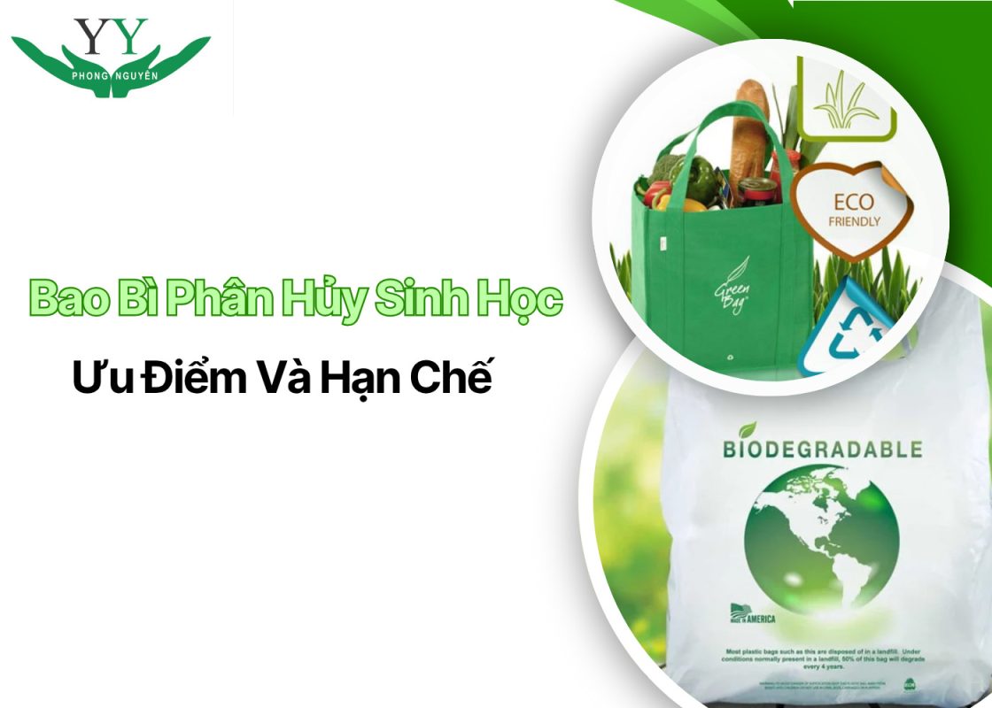 Bao Bì Phân Hủy Sinh Học Là Gì? Ưu & Nhược Điểm Cần Biết