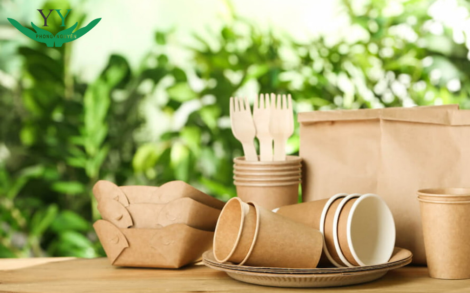 bao bì phân hủy sinh học từ bã mía