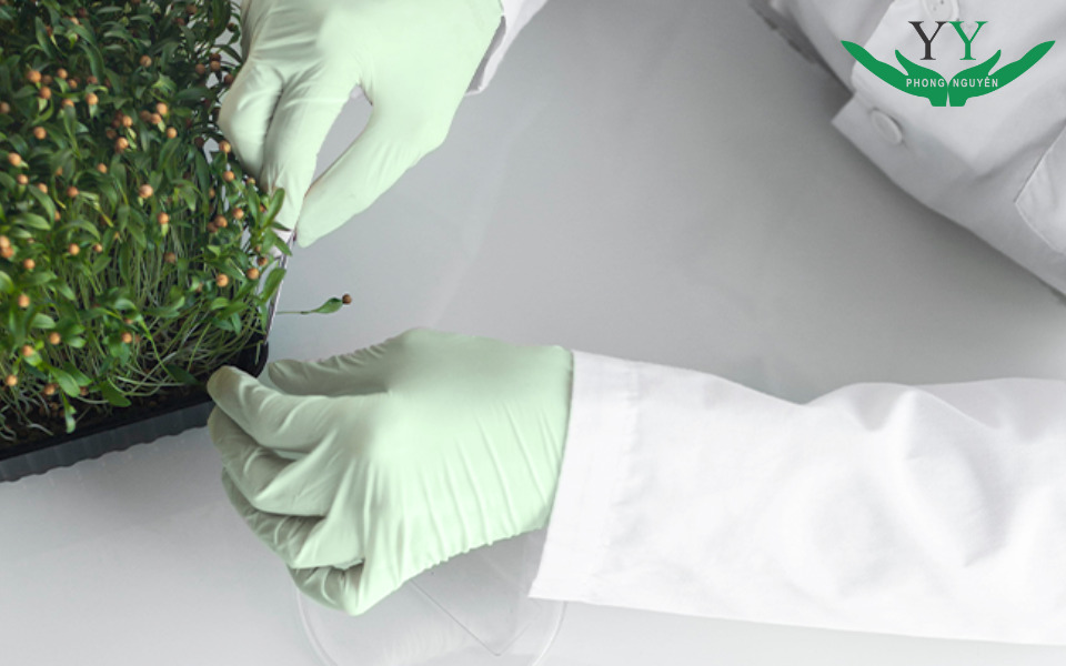 Biodegradable Medical Packaging