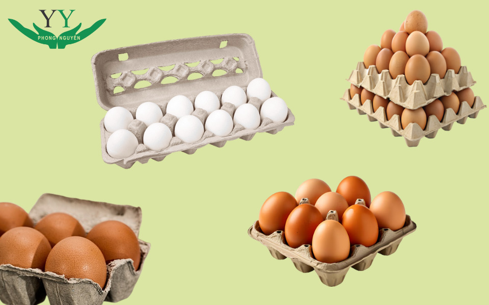 Price of Paper Egg Trays