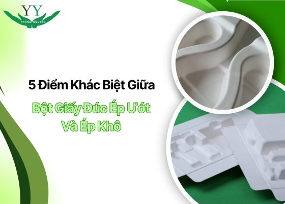 Bột Giấy Đúc Ép Ướt Và Ép Khô