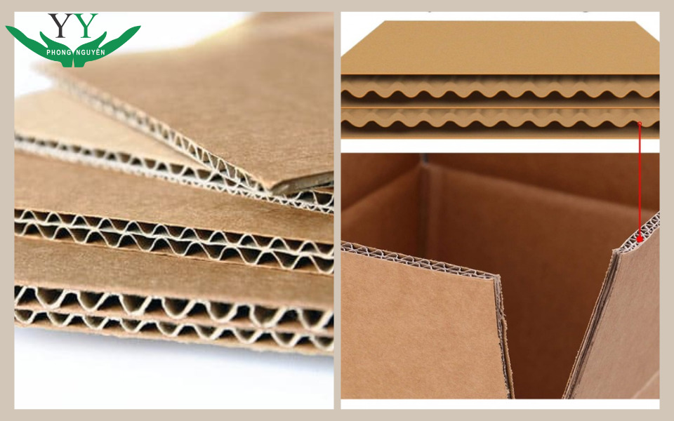 hộp carton 3–5 lớp