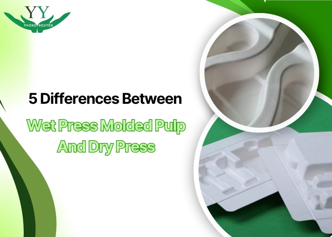 wet press molded pulp and dry press